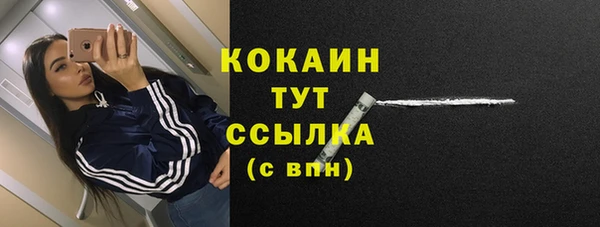 стаф Каменск-Шахтинский