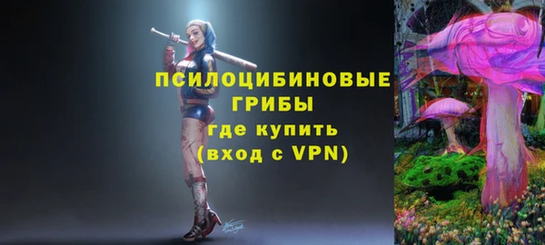 дживик Каменка