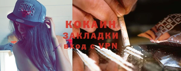 дживик Каменка