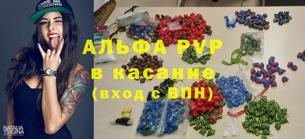 дживик Каменка