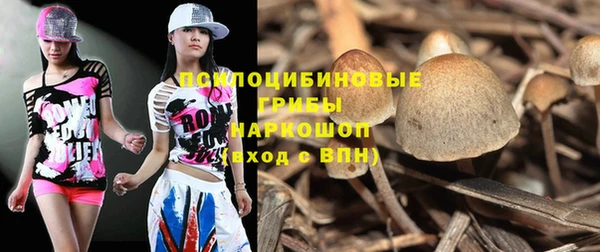 стаф Каменск-Шахтинский