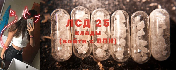 дживик Каменка